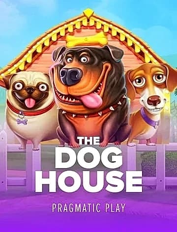 Хаб The Dog House